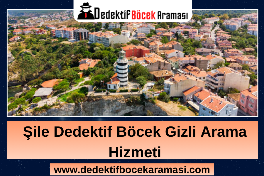 Şile Dedektif Böcek Gizli Arama Hizmeti